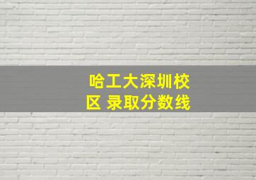 哈工大深圳校区 录取分数线